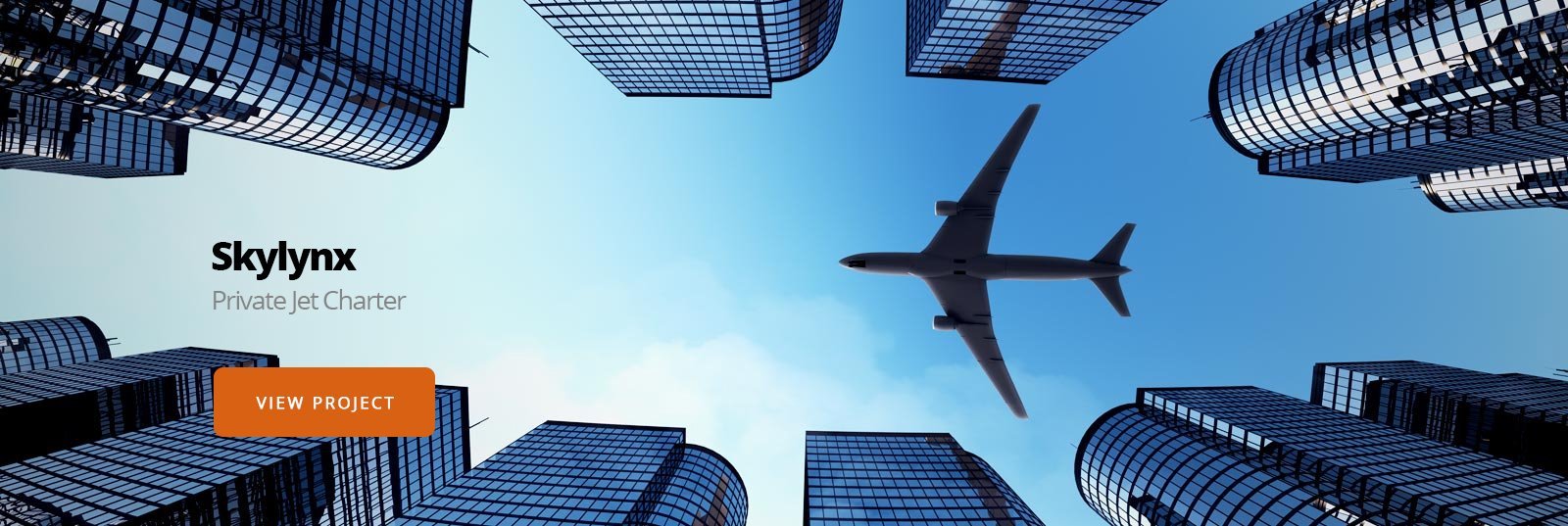SkyLynx Aviation Case Study Image 1